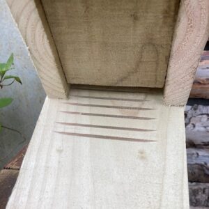 Bat Box