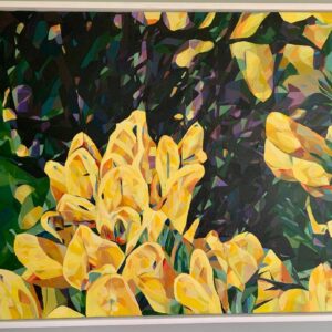 Gorse flower by night